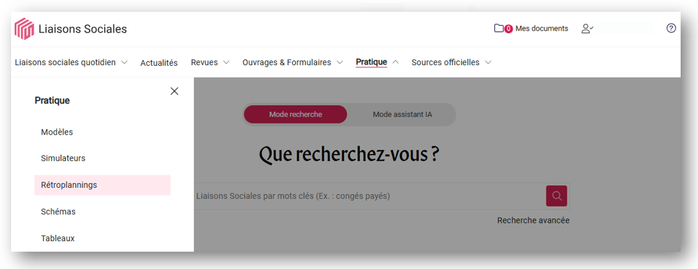 Capture d'écran 2024-11-20 091519.png